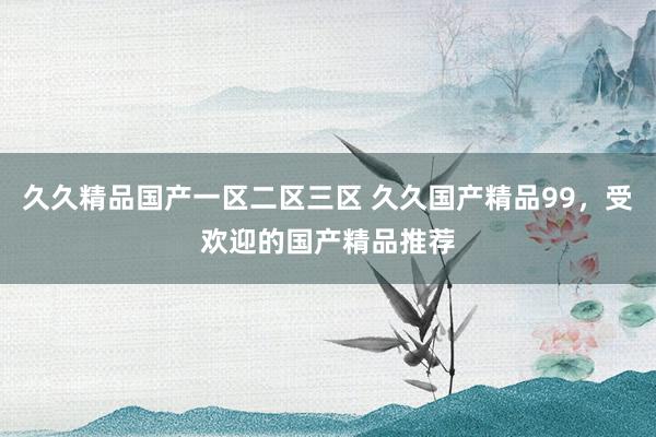 久久精品国产一区二区三区 久久国产精品99，受欢迎的国产精品推荐